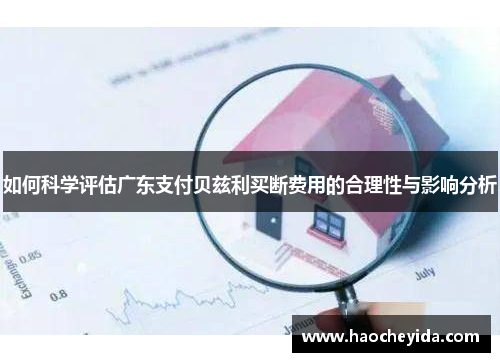 如何科学评估广东支付贝兹利买断费用的合理性与影响分析