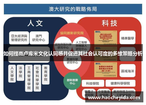 如何提高卢库米文化认同感并促进其社会认可度的多维策略分析